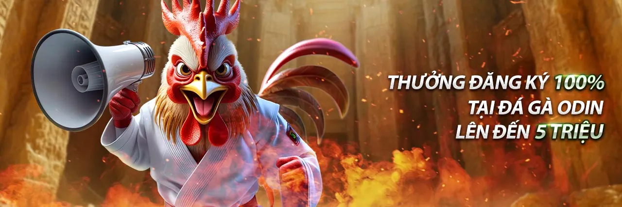 Tổng quan các chiến lược đặt cược Rồng Hổ thông minh