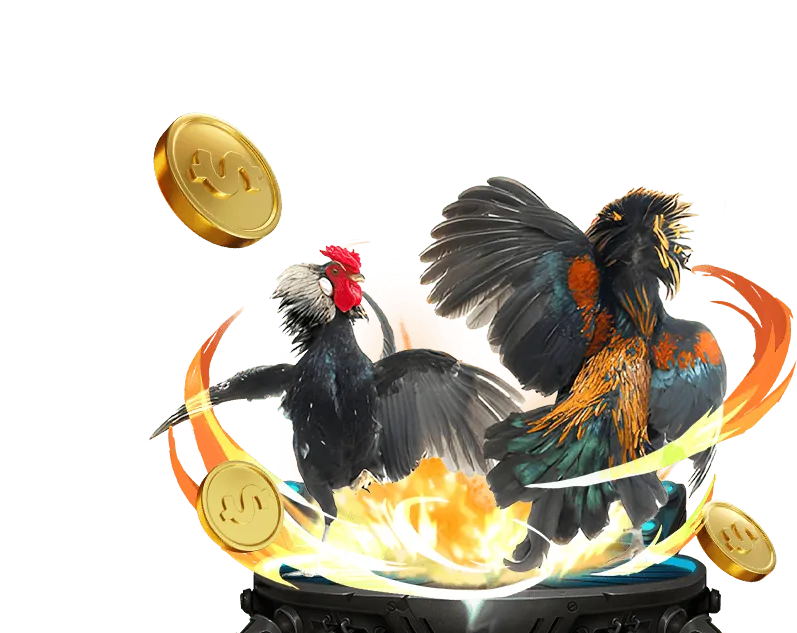 Hình ảnh minh họa chiến thuật chơi Rồng Hổ