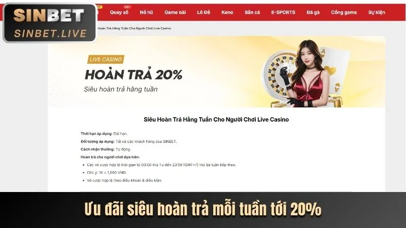 Hình ảnh trải nghiệm casino trực tiếp